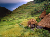Buy Rainstorm Approaching Huts and Rice Paddies, Batad, Ifugao, Philippines at AllPosters.com