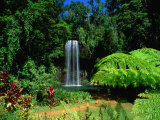Buy Millaa Millaa Falls, Atherton Tablelands, Australia at AllPosters.com