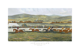 The Finish, Punchestown