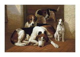 Buy Foxhounds And A Terrier at AllPosters.com