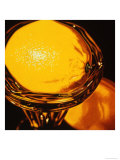 Buy Lemons at AllPosters.com
