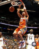Shawn Marion