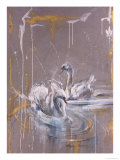 Buy Swans I at AllPosters.com