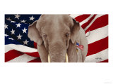 Buy Grand Old Party at AllPosters.com