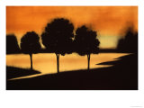 Buy Savannah Nights at AllPosters.com