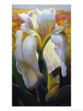 Buy April Breeze at AllPosters.com