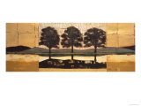 Buy Sunrise at AllPosters.com