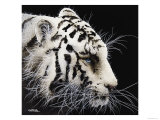 Buy Tiger at AllPosters.com