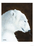 Buy Study in Whiskers at AllPosters.com