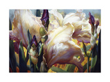 Buy Iris Garden at AllPosters.com