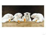 Polar Beers
