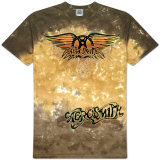 Aerosmith - Ray Logo T-Shirt