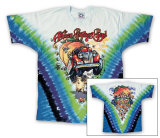 Allman Brothers Band - Mushroom Express