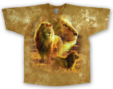 Nature - Lion Pride