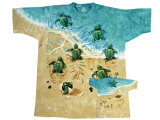 Youth: Nature - Turtle Beach
