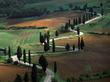 Buy Tuscany Winding Road at AllPosters.com