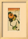 Buy Dream Maiden - 2 at AllPosters.com