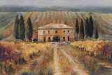 Buy Toscan Vigna at AllPosters.com