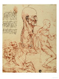 Study of the Human Features and a Knight, Galleries of the Academy, Venice