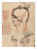 Head Section with the Anatomy of the Eye, Drawing, Royal Library, Windsor
