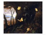Underbrush with Reptiles and Butterflies, Uffizi Gallery, Florence