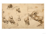 Rearing Horse and Study of Horse, Lion and Human Heads, Drawing, Royal Library, Windsor
