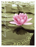 Love Lilly