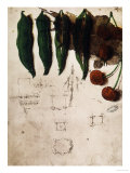 Buy Cherries and Peas, Institut De France, Paris at AllPosters.com