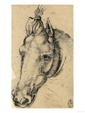 Study of the Head of a Horse, Pen Drawing on Paper Turned Yellow, Royal Library, Windsor
