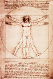 Vitruvian Man Poster
