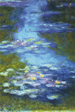 Water Lilies Poster