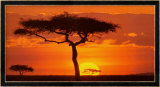 Masai Mara Plains, Kenya
