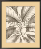 Buy Tropical Connection II at AllPosters.com