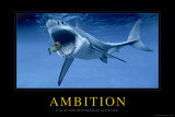 Ambition