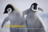 Kindness
