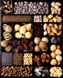 Buy Seeds at AllPosters.com