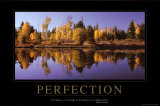 Perfection