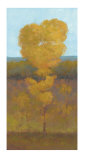 Buy Solitary Tree II at AllPosters.com