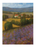Buy June Lavendar at AllPosters.com