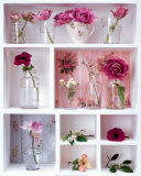 Buy Spring Mix at AllPosters.com