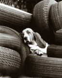Nap Time