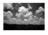 Buy Crossing at AllPosters.com