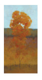Buy Solitary Tree III at AllPosters.com