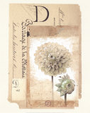 Buy Dahlia at AllPosters.com