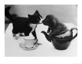 Tea Party