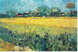 Buy View of Arles with Irises at AllPosters.com