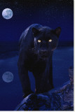 Buy Black Panther in Moonlight at AllPosters.com