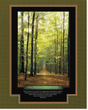 Buy The Essence of Destiny at AllPosters.com