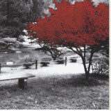 Buy Quiet Moments at AllPosters.com