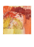 Buy Nature Revisited VI at AllPosters.com